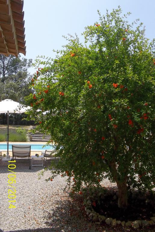 Maprovencale Bed and Breakfast Les Arcs-sur-Argens Exteriör bild